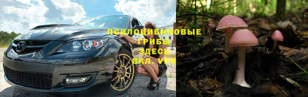 метадон Арсеньев