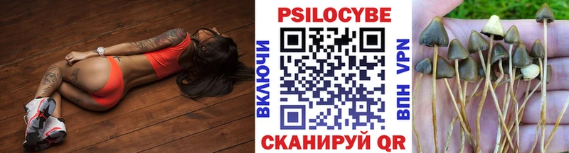 Купить закладки  Хадыженск  Галлюциногенные грибы прущие грибы 